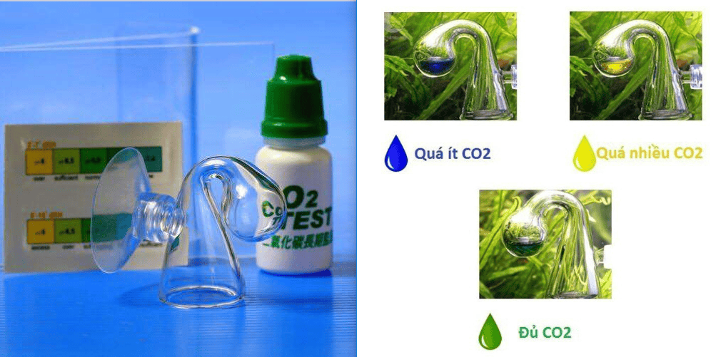 test co2 cho hồ thủy sinh