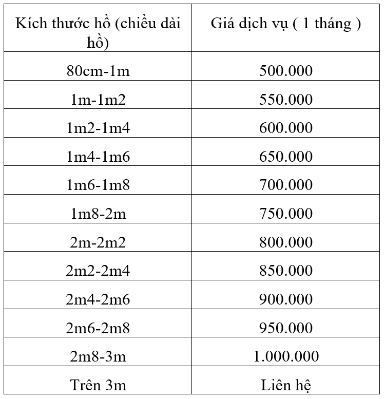 bảo dưỡng hồ cá thủy sinh tp hcm