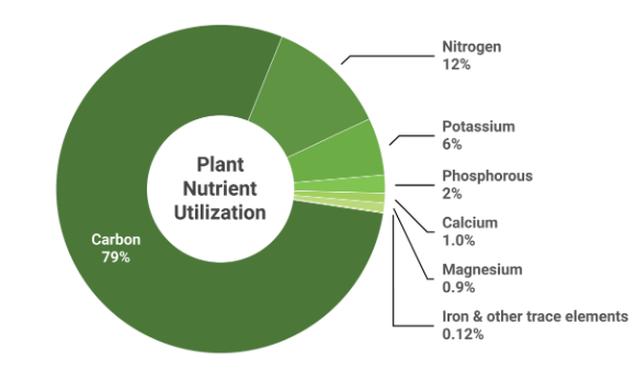 dinh dưỡng hồ thủy sinh khí co2